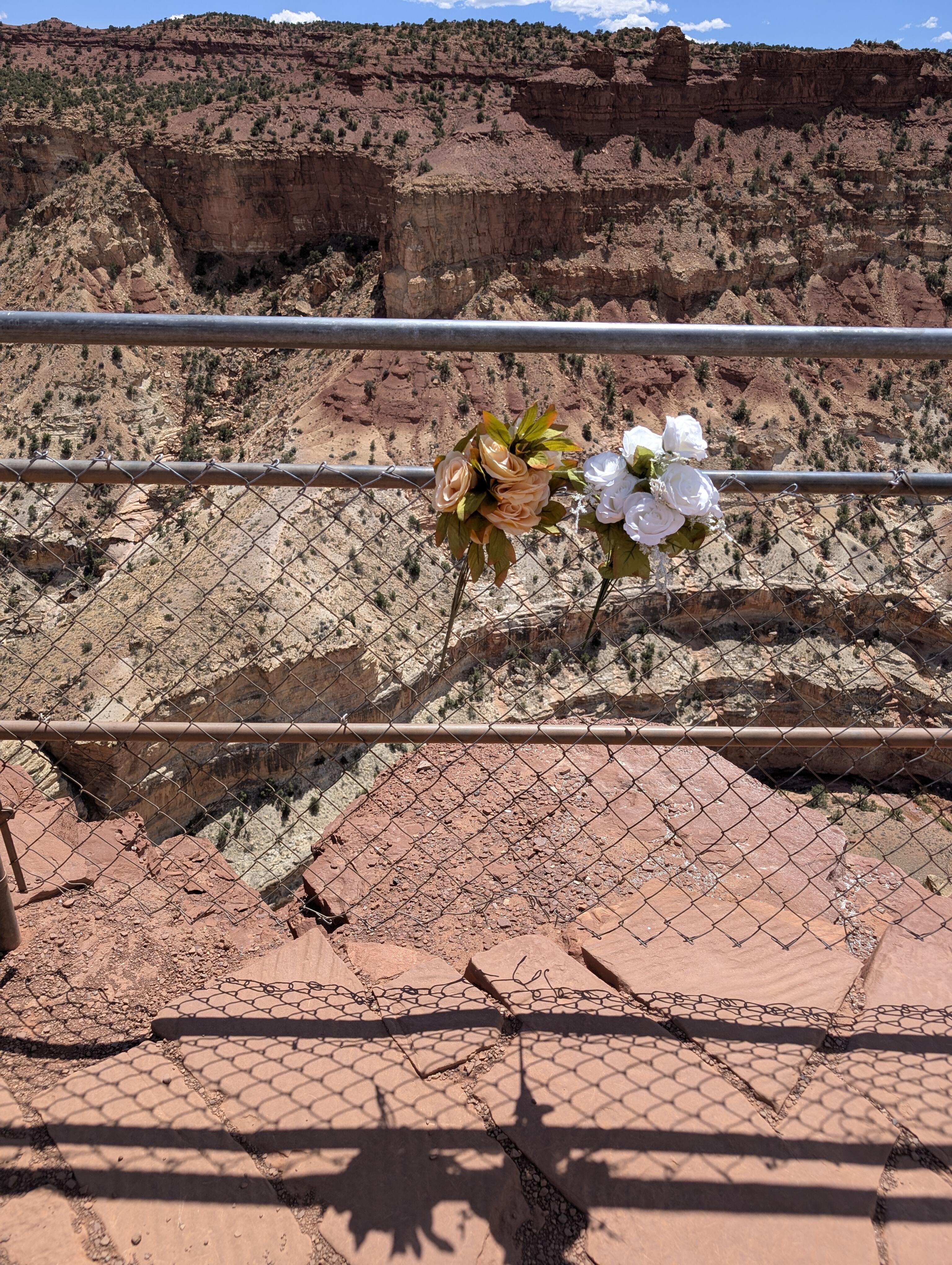 Flowers by the cliffside.