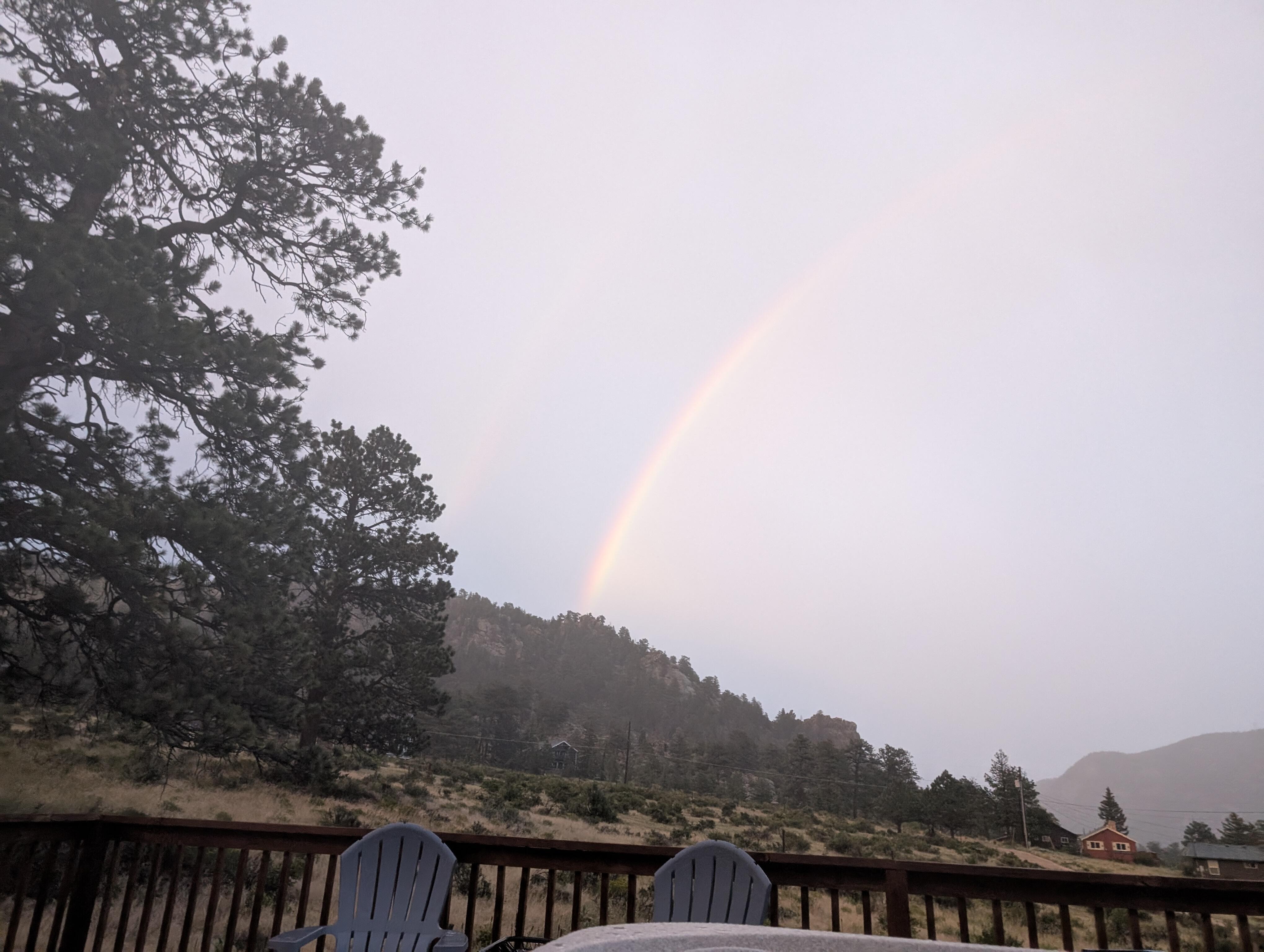 Never seen one before.