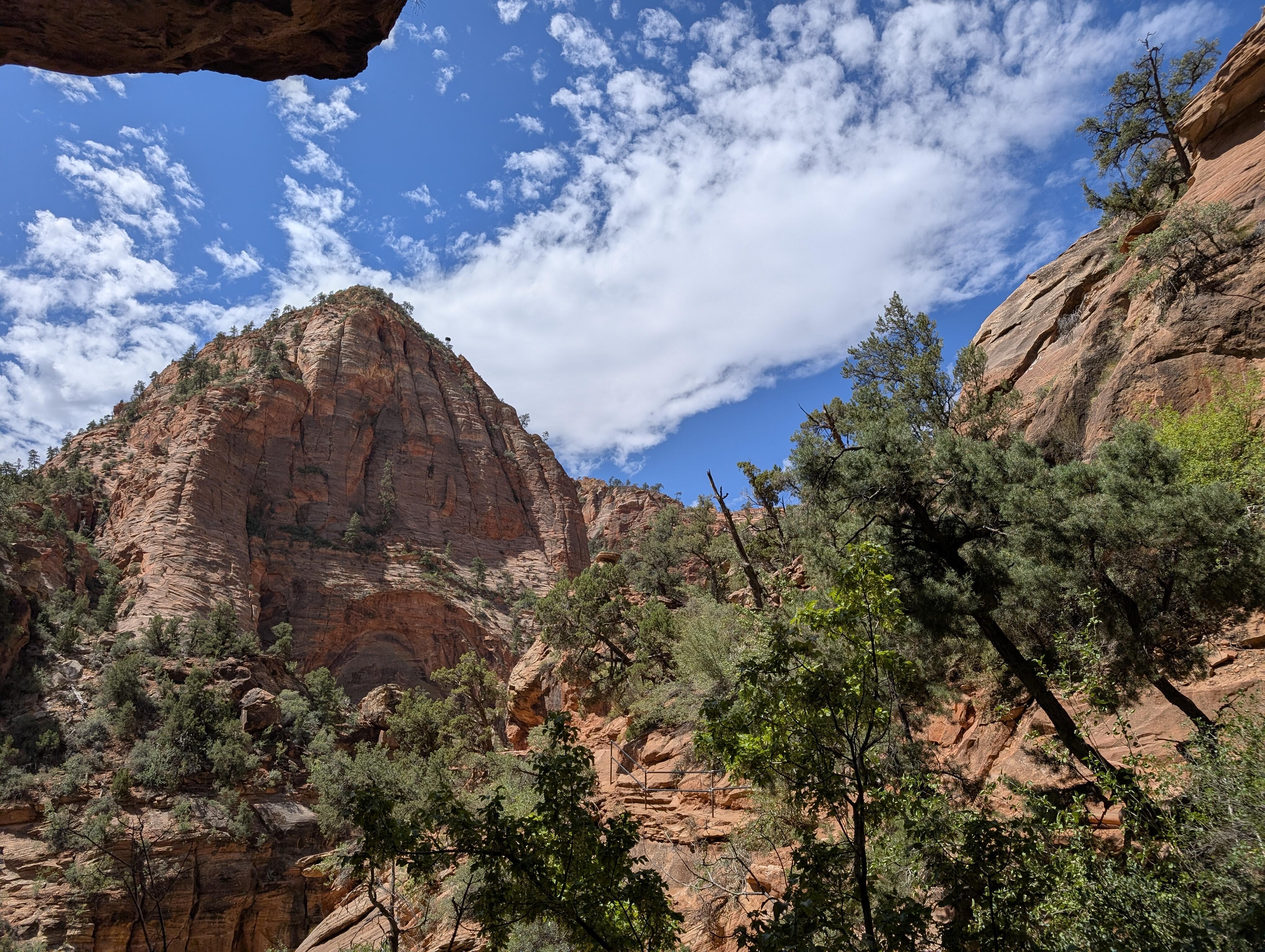View on one of the easier trails